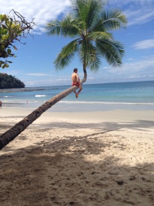 seth in punta leona, i'm pretty sure everyone who comes to this beach gets on this palm, its a ritual